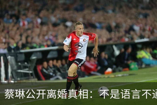 蔡琳公开离婚真相：不是语言不通，喜欢中国生活，自己开车去生娃